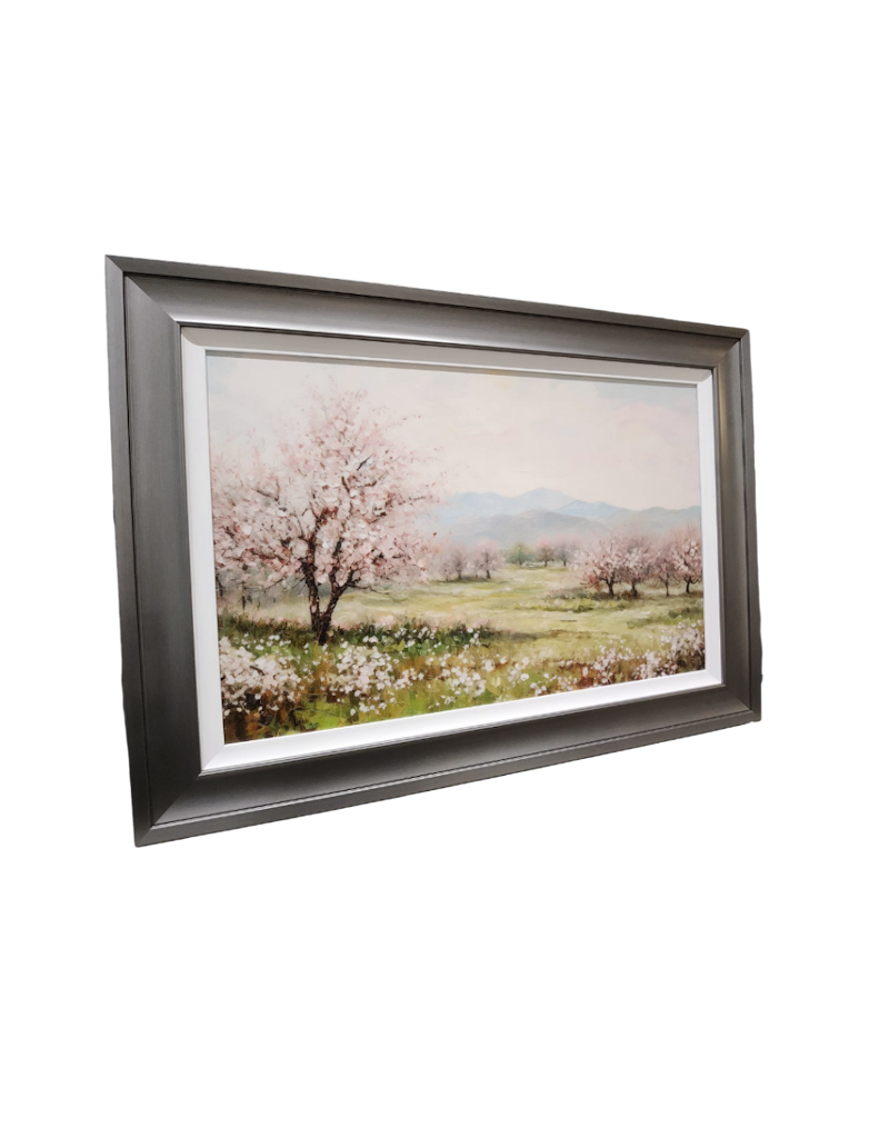 Cherry Blossoms at Day